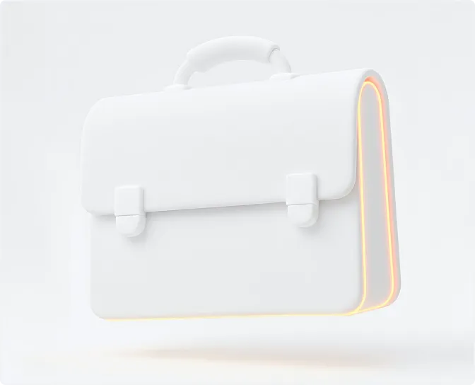 Business Vpn Bag Icon